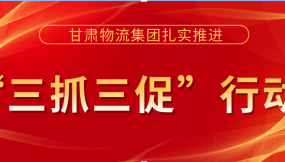  真抓實干促落實  踔厲奮發(fā)謀發(fā)展 --甘肅物流集團(tuán)“三抓三促”行動工作綜述